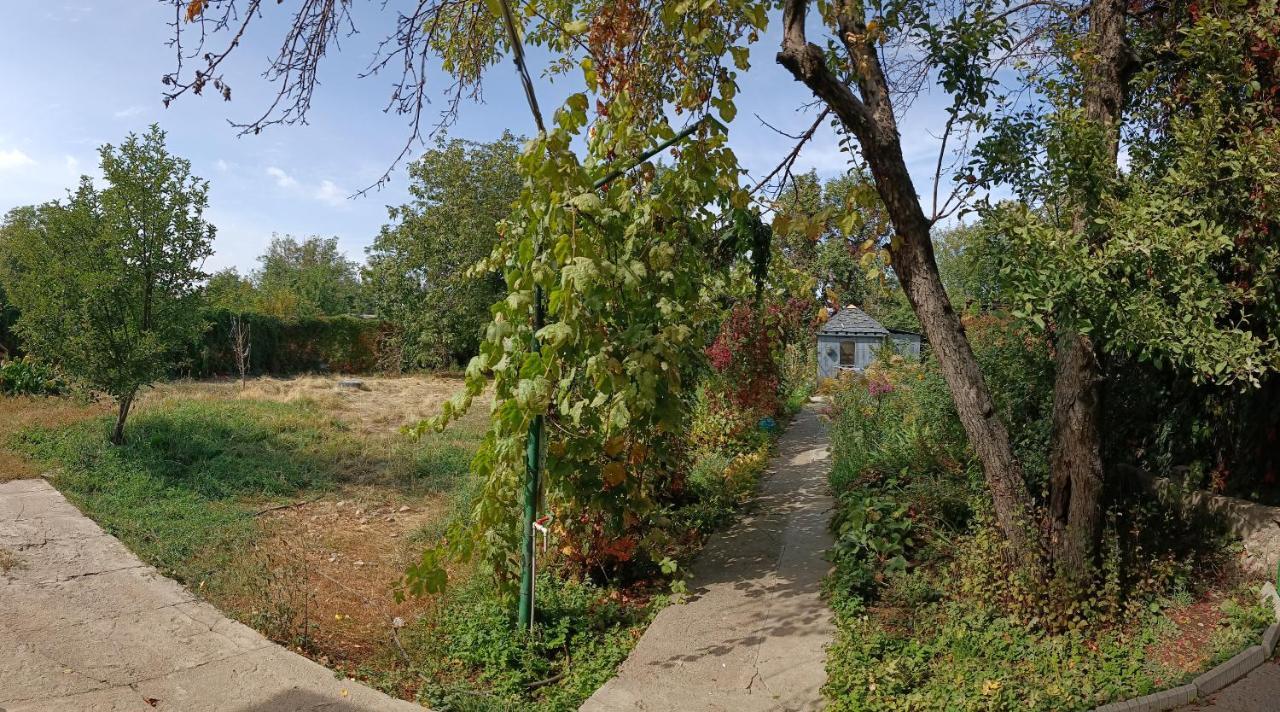 Уютный Ночлег Иссыкские Курганы Rahat Exterior foto